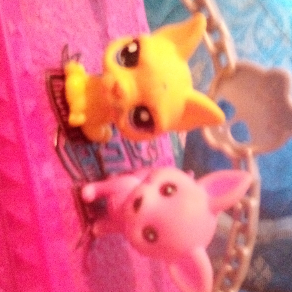 Two doll pets
